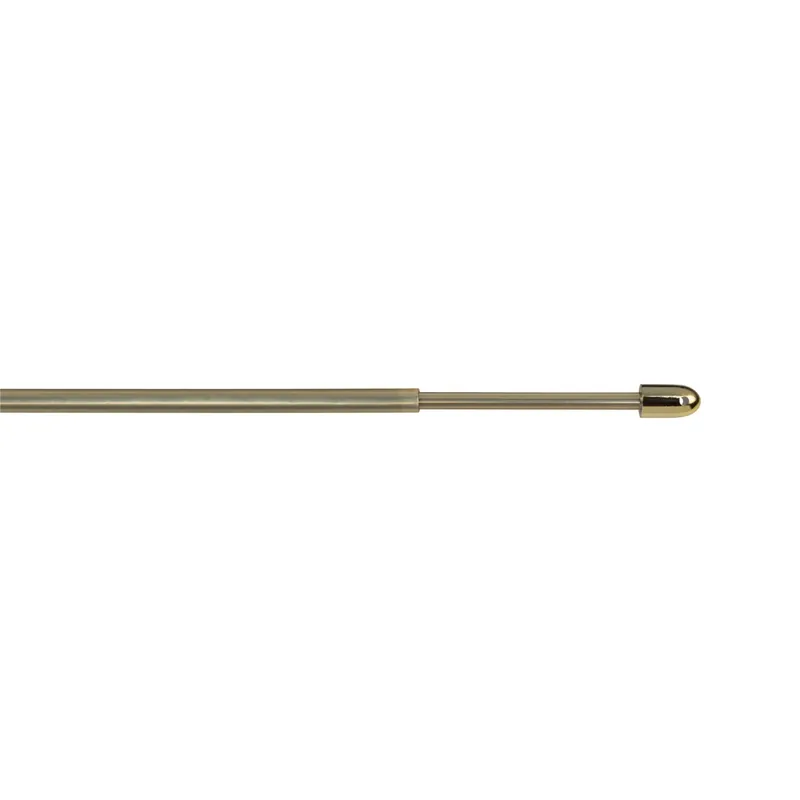 Astina per tenda Berlino a vite tonda 50/70 cm oro 2 pz Aanbieding