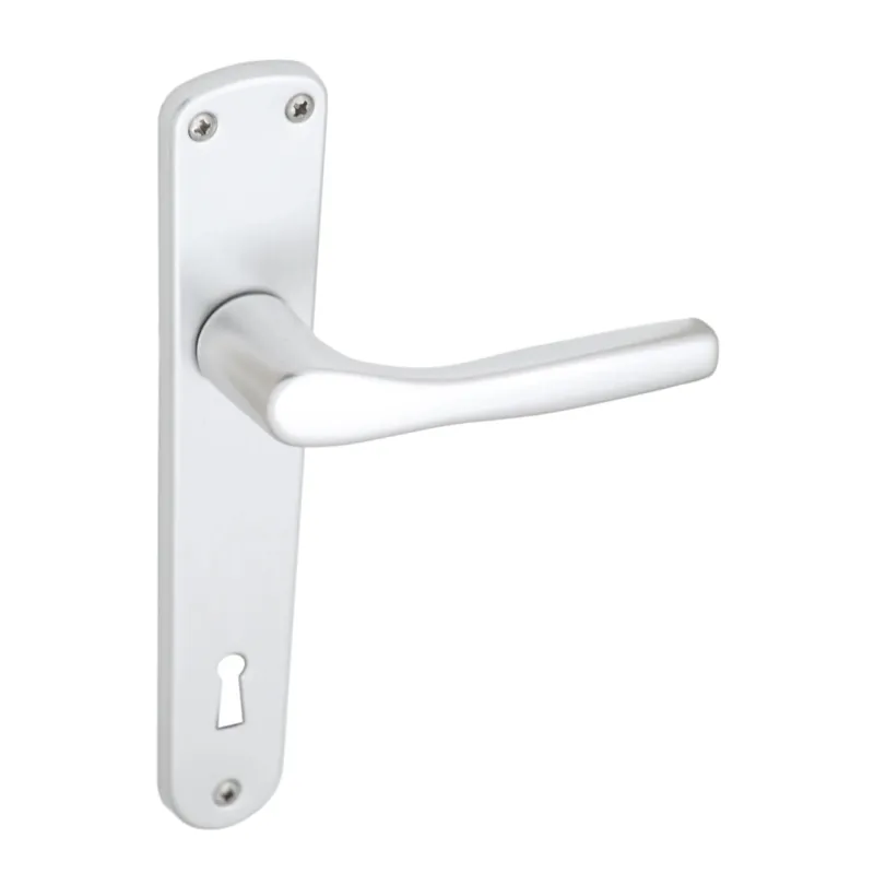 Maniglia Bica alluminio con placca foro patent argento Direct Beschikbaar