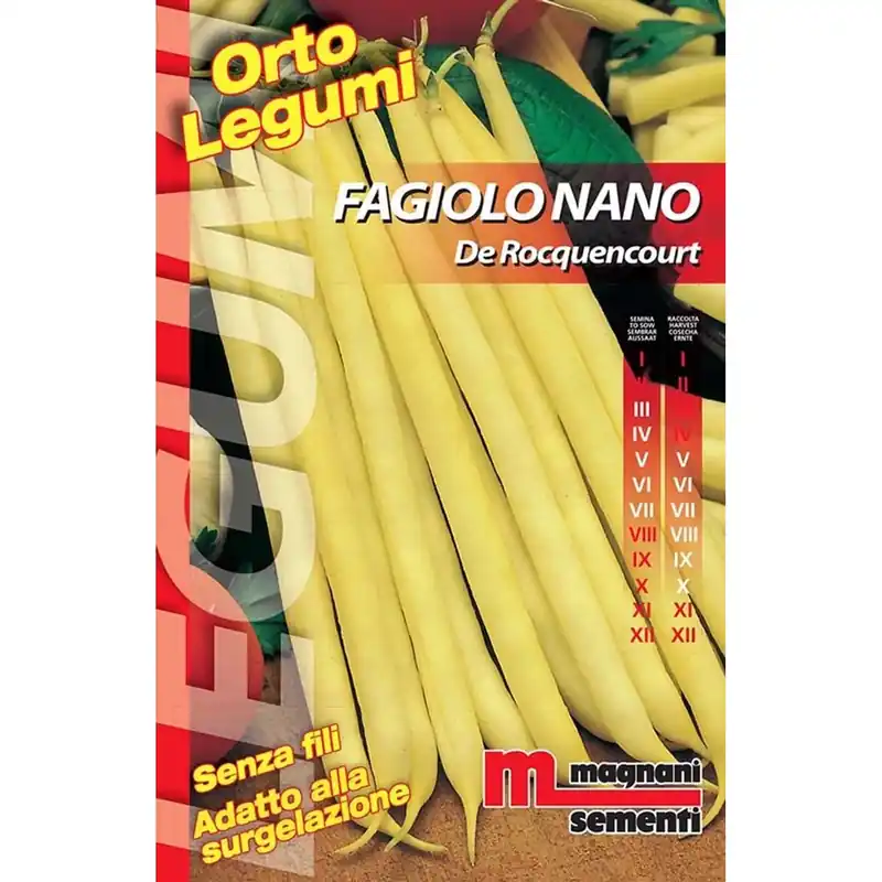 Laatste Kans Semi Fagiolo nano Rocquencourt 200 g