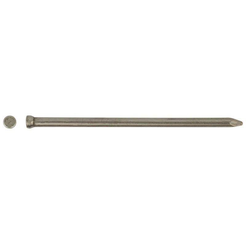 Chiodo testa gruppino ferro lucido 1,4x30 mm 100 pz Flitsaanbieding