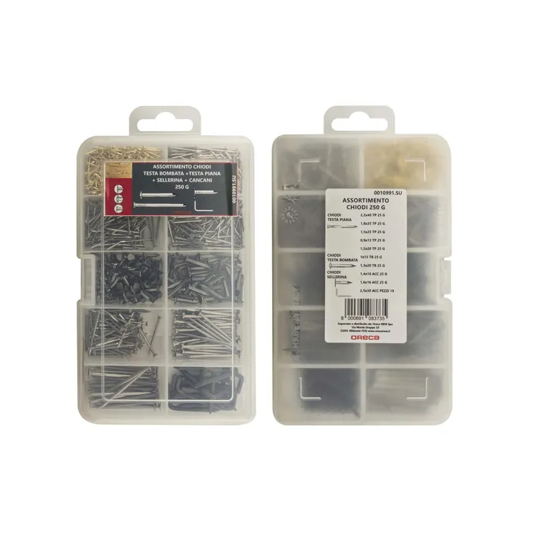 Snelle Levering Assortimento chiodi testa piana/bombata/sellerina 250 g