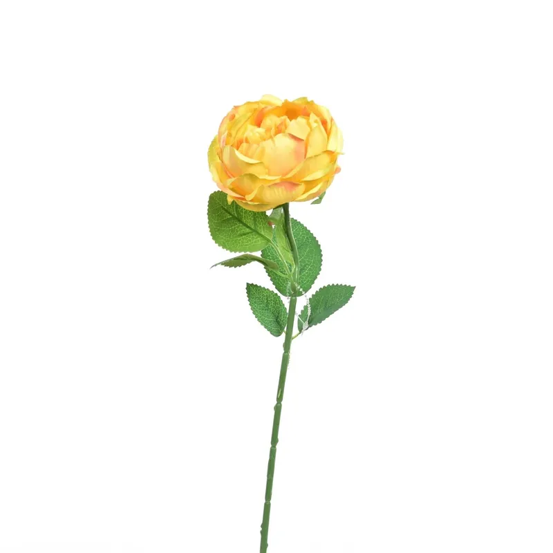Alleen Vandaag Rosa finta 50 cm arancione