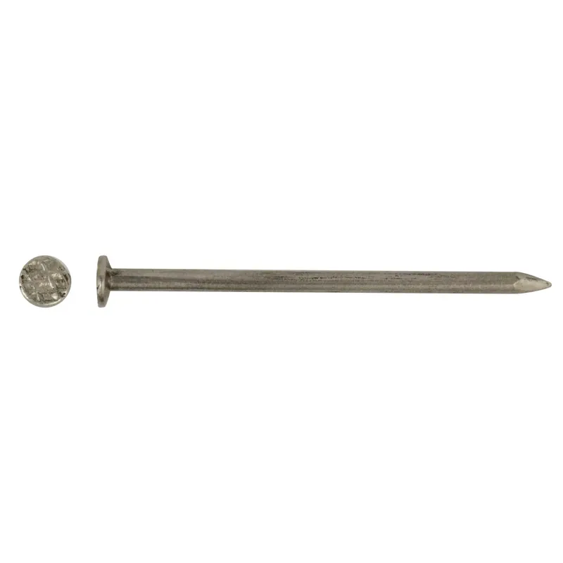 Chiodo testa piana ferro lucido 2,2x40 mm 150 pz Goedkoop