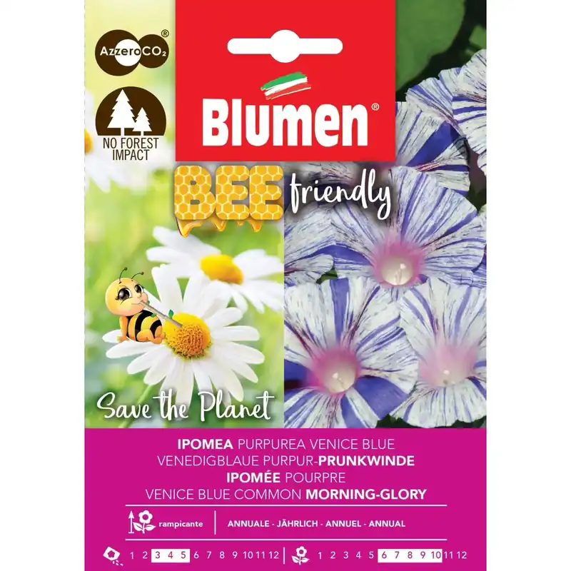 Semi Bee Friendly Ipomea Purpurea Blue Gecertificeerd