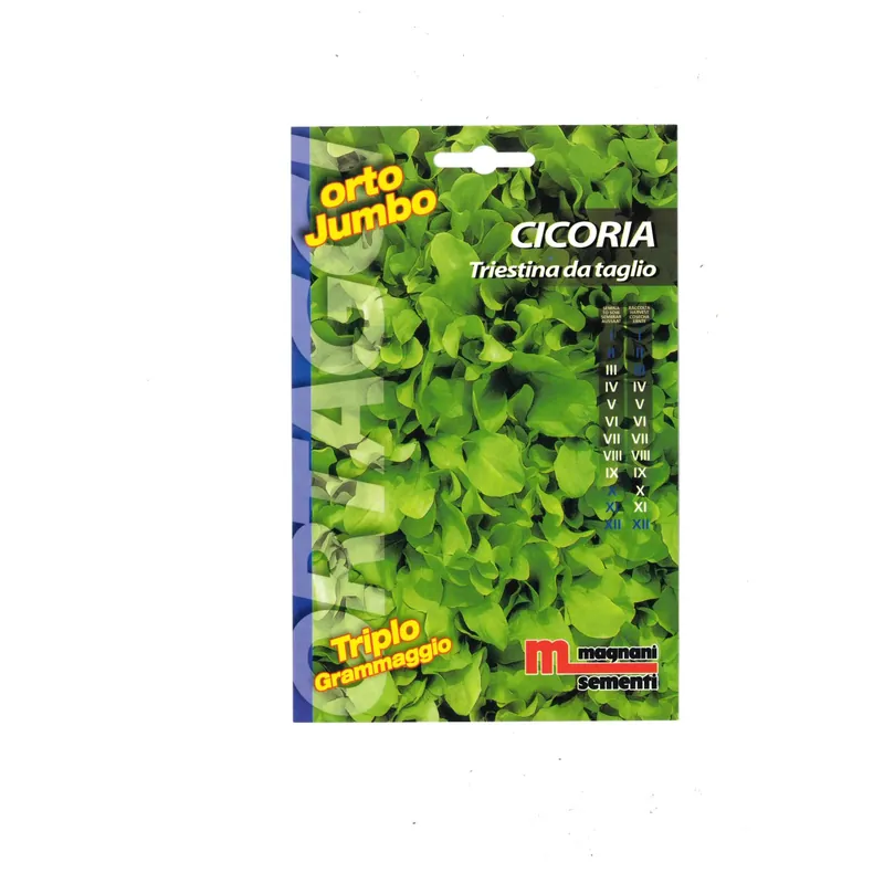 Semi orto Jumbo Cicoria Triestina da Taglio Bestel Nu
