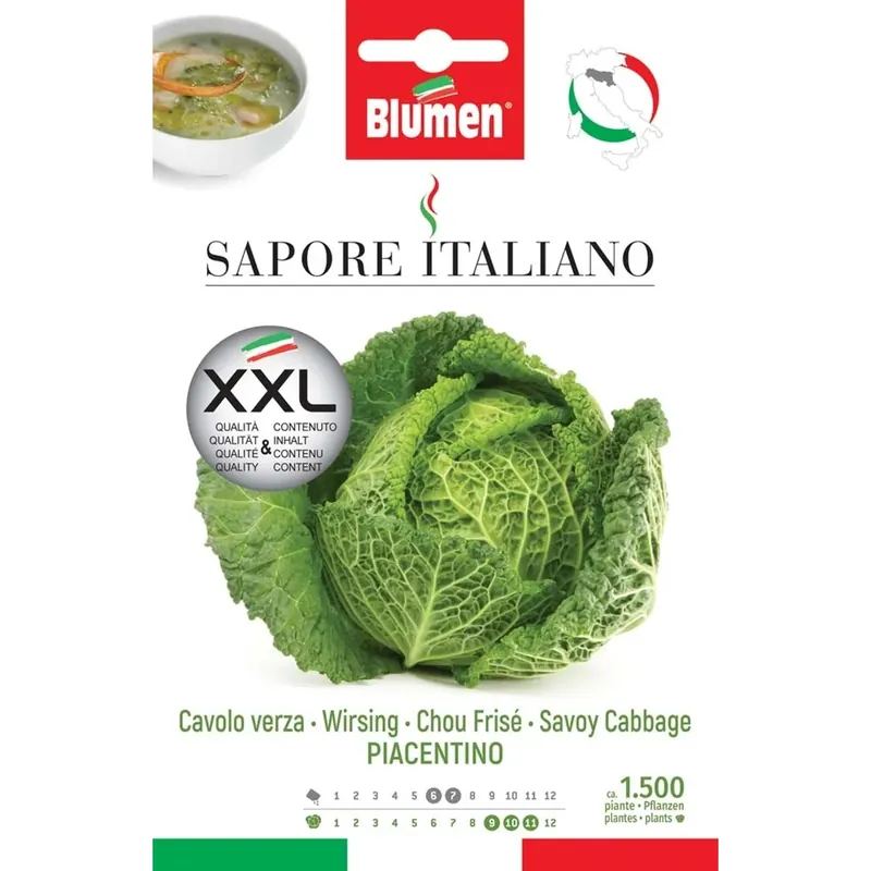 Exclusieve Aanbieding Semi Blumen Cavolo verza piacentino XXL