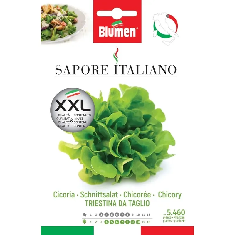 Semi Blumen Cicoria Triestina taglio XXL Snelle Levering