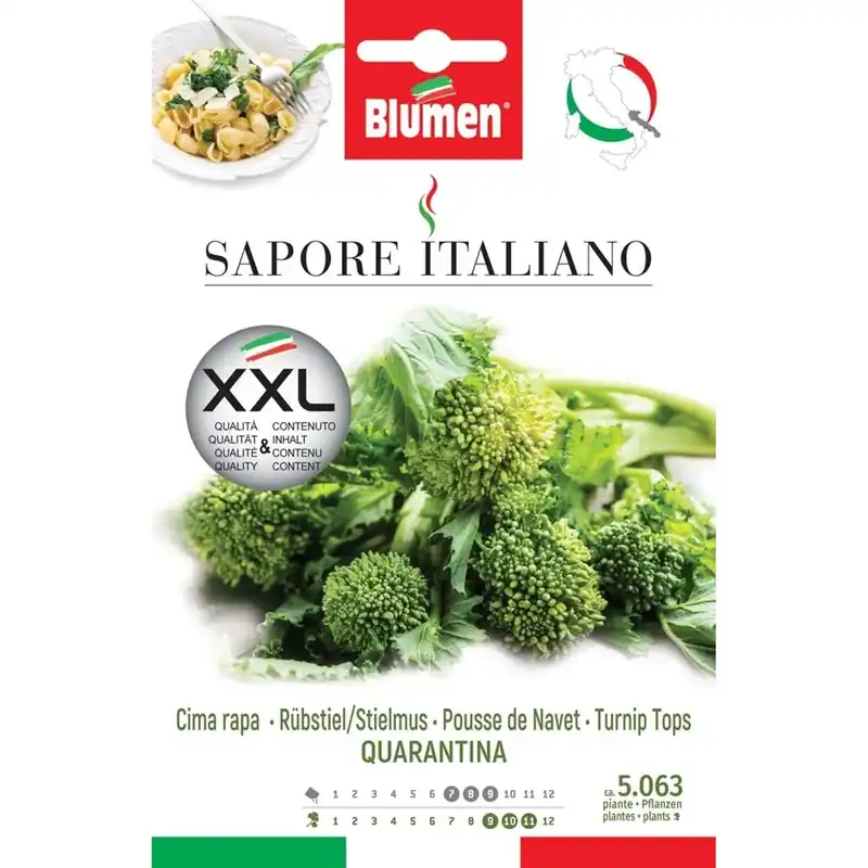 Op = Op Semi Blumen Cima di rapa quarantina XXL