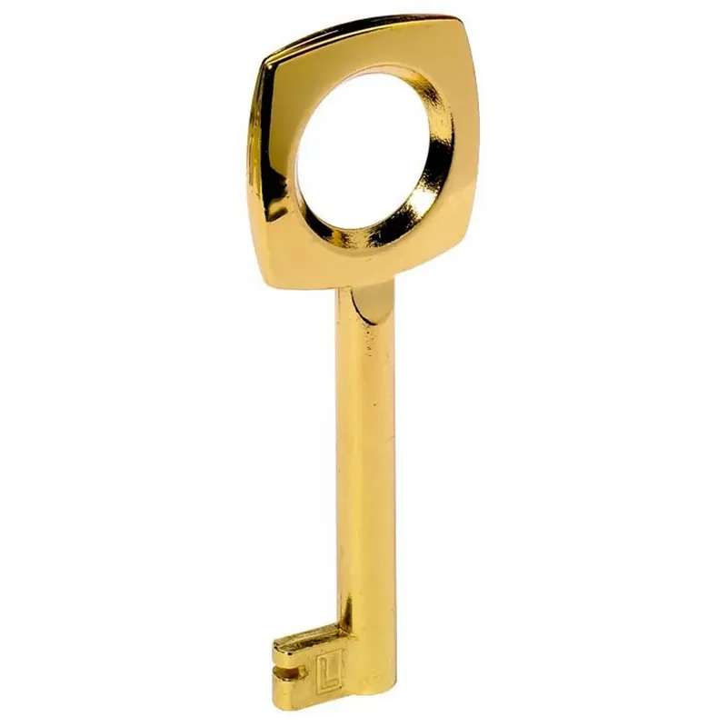 Chiave a mappa sagomata Hettich L 65 x Ø 4 mm ottonata Aanbieding