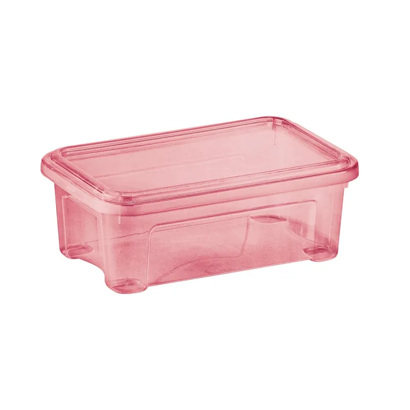 Must-Have Contenitore in plastica Tontarelli Combi Box 2,5 l 26,2x9,6 cm ciliegia
