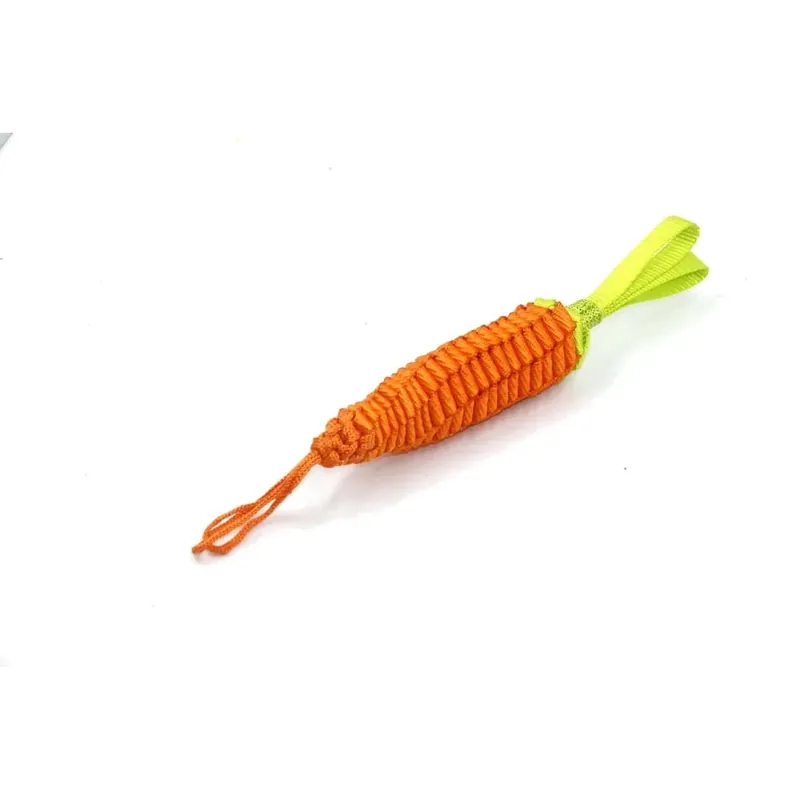 Alleen Vandaag Gioco per cani GimDog Stretch Carrot