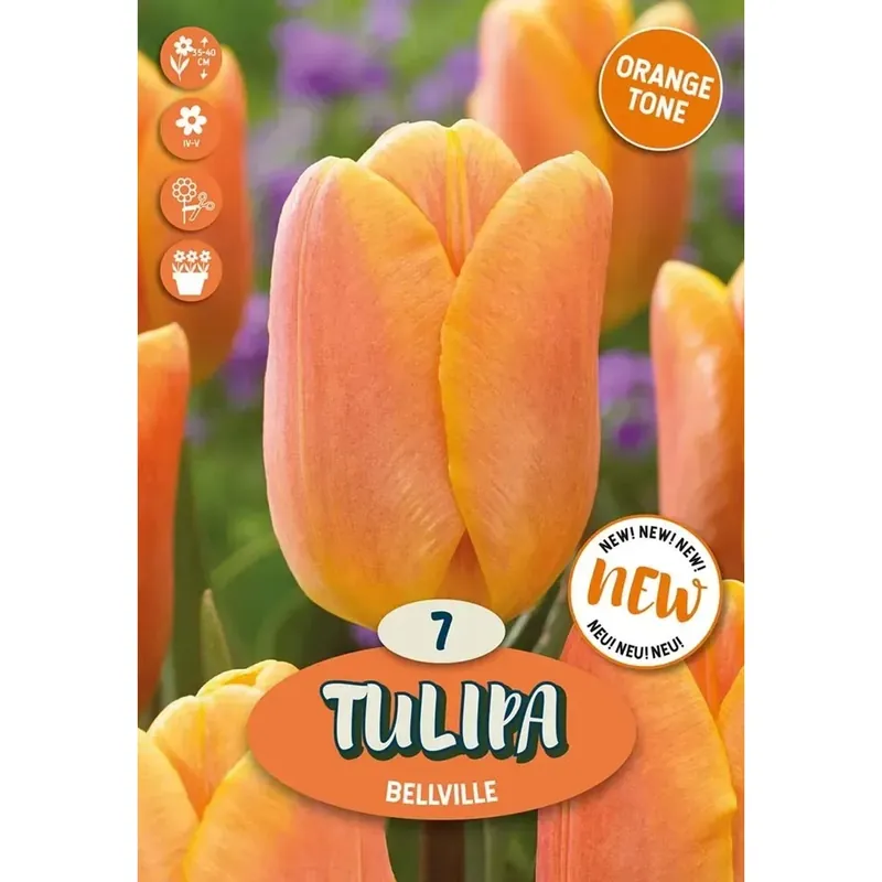 Beste Prijs Bulbi di Tulipano Belville 7 pz