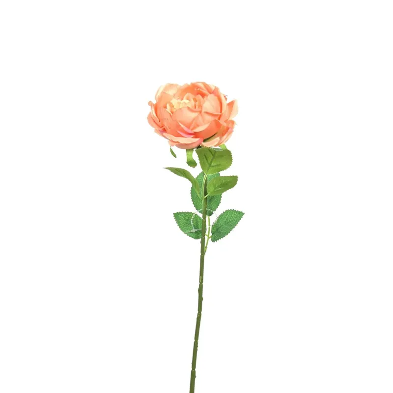 Rosa finta 50 cm rosa Laatste Versie