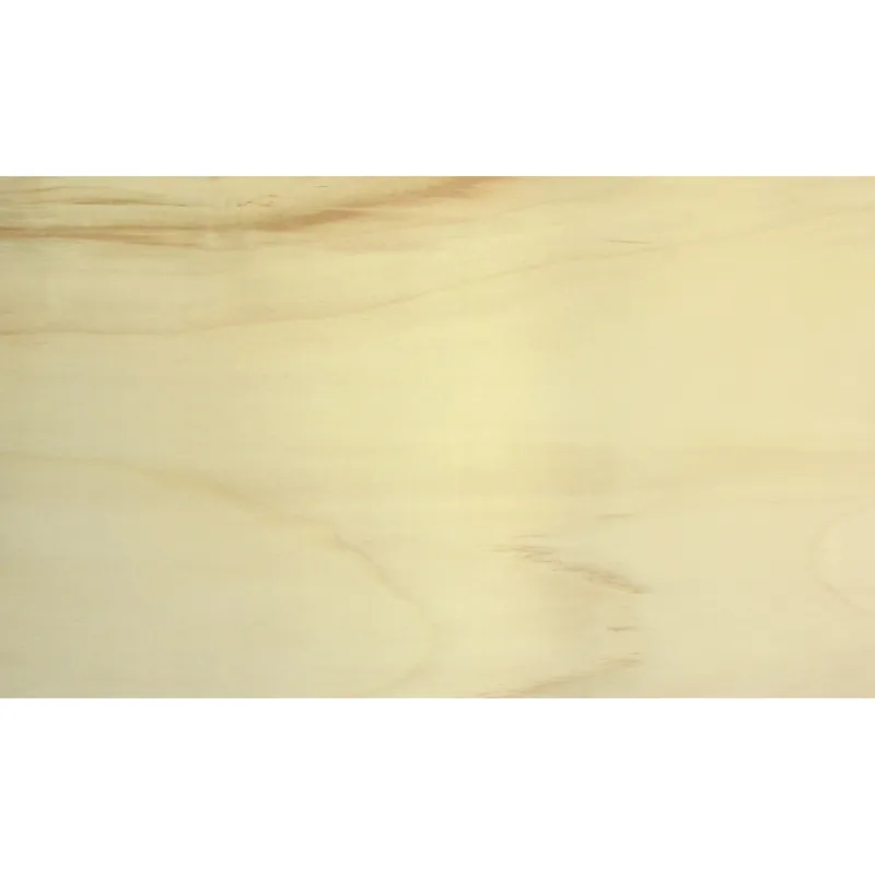 Nu Kopen Pannello compensato di pioppo Sp 6 mm legno chiaro al taglio