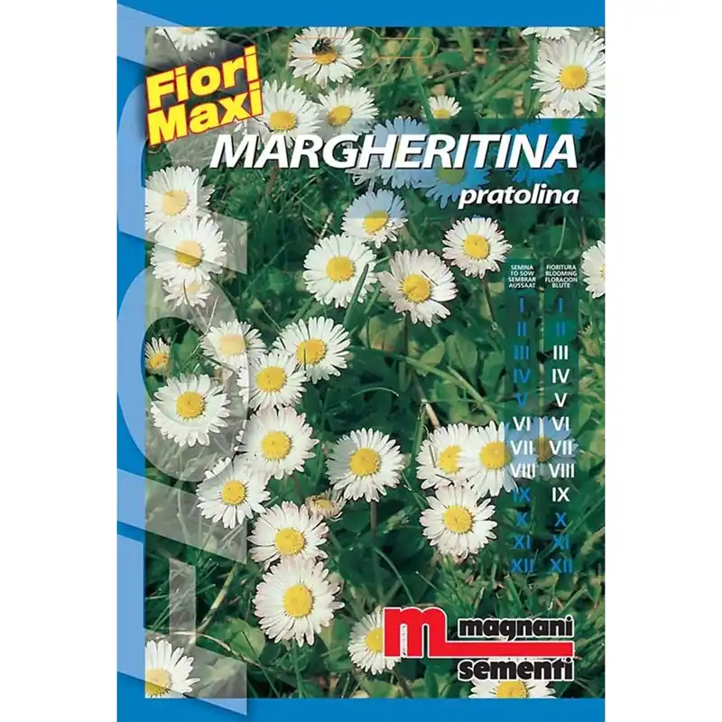 Nu Kopen Semi fiori Margheritina pratolina