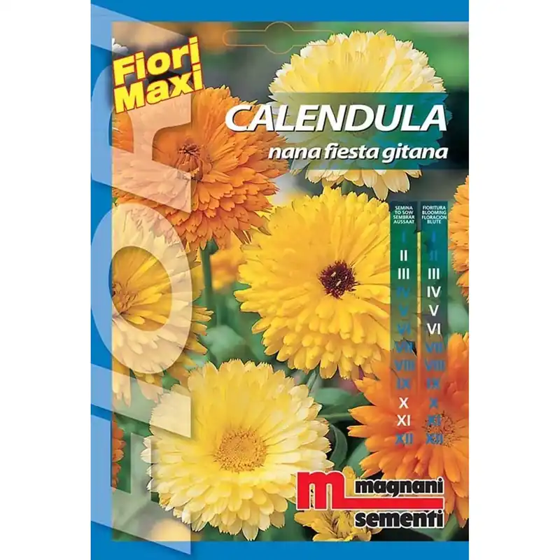 Semi fiori Calendula nana Fiesta Actieprijs