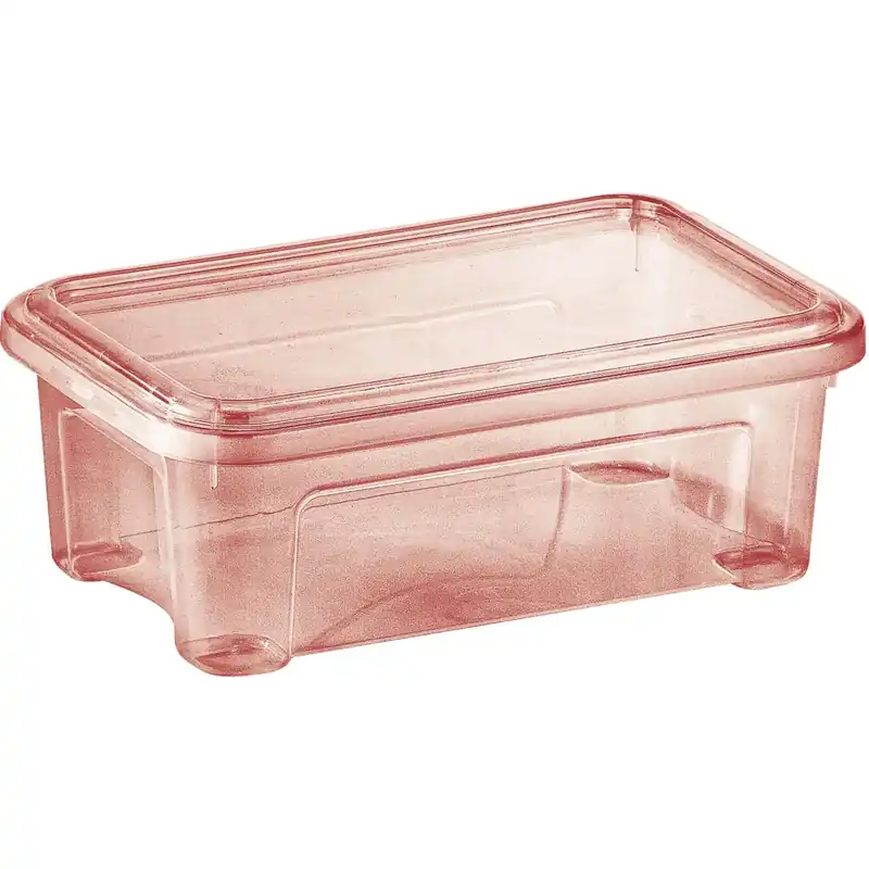 Rechtstreeks Van De Fabrikant Contenitore Combi Box con coperchio rosso trasparente 2,5 l