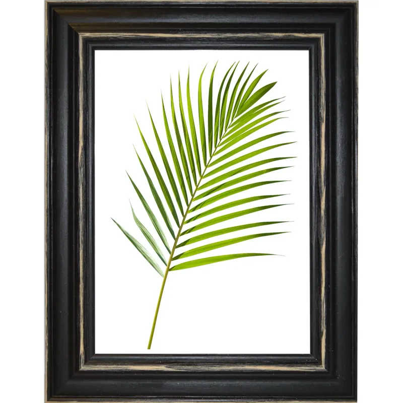 Cornice da muro Randu Nero 25x35 cm Seizoensaanbieding