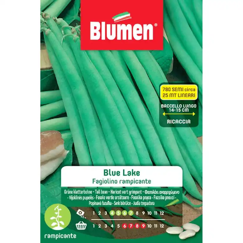 Semi Blumen Fagiolini rampicanti Blue Lake 250 g Hoge Kwaliteit