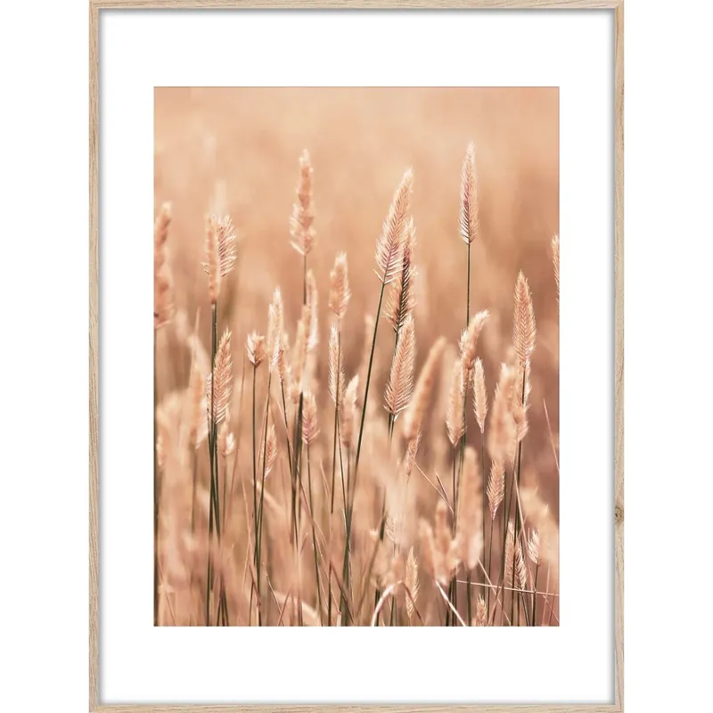 Stampa con cornice Artbox Grasses II rovere 50x70 cm Alleen Vandaag