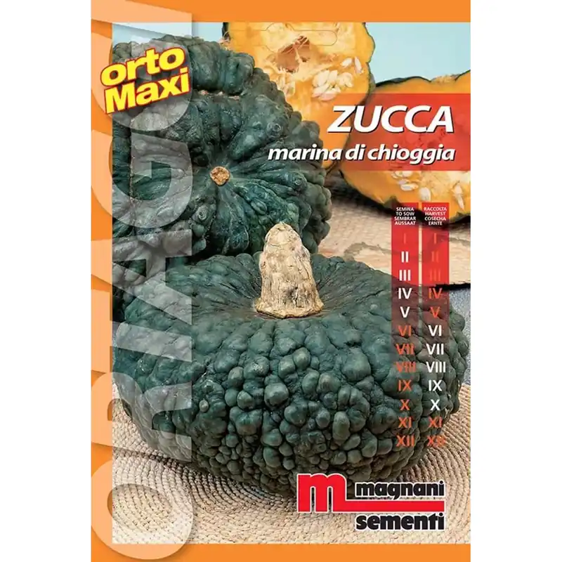 Semi orto maxi Zucca marina di Chioggia Fabrieksprijs
