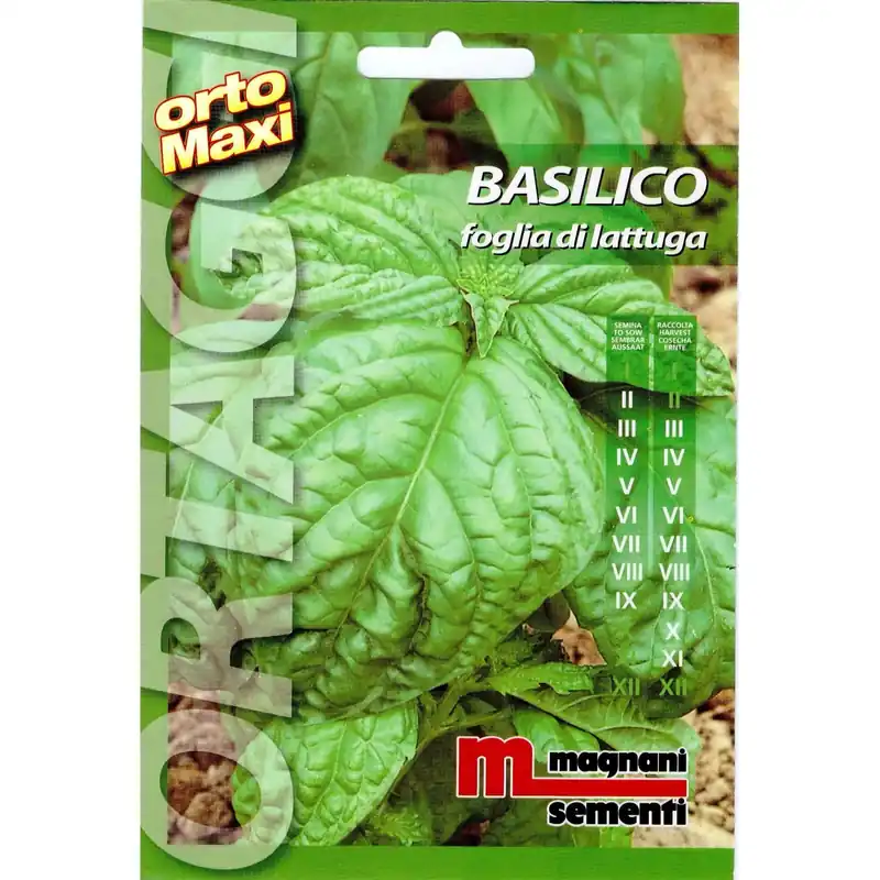 Semi aromi Basilico foglia Veilige Betaling