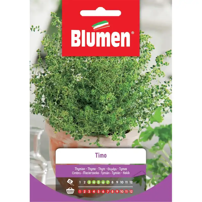 Veilige Betaling Semi Timo Blumen