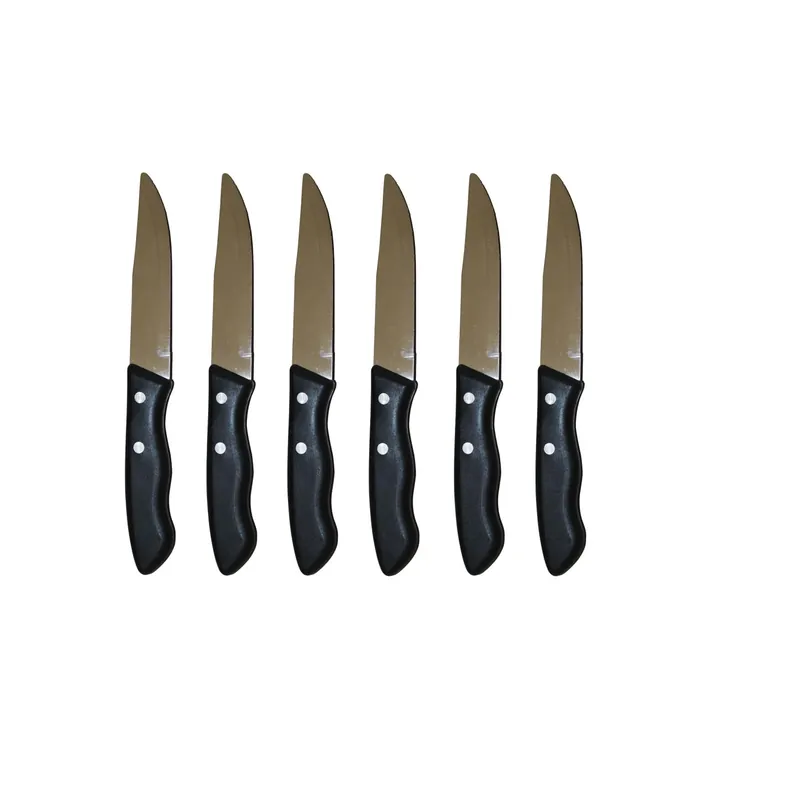 Populair Set 6 coltelli professionali