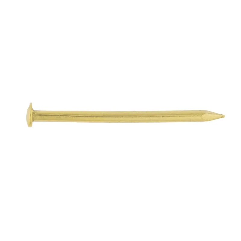 Meest Verkocht Chiodo testa bombata ottone lucido 1,8x20 mm 65 pz
