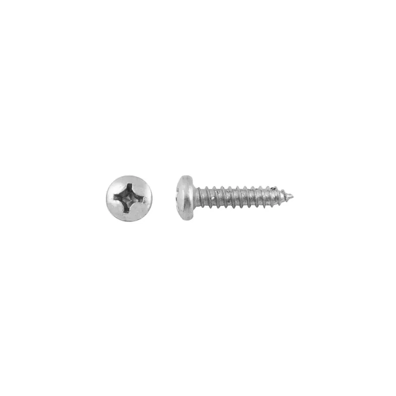 Gereduceerde Prijs Vite ferro autofilettante testa bombata ph din7981 inox mm 4,2x19mm