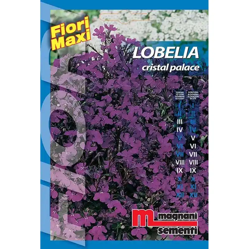 Bestseller Semi fiori Lobelia cristal