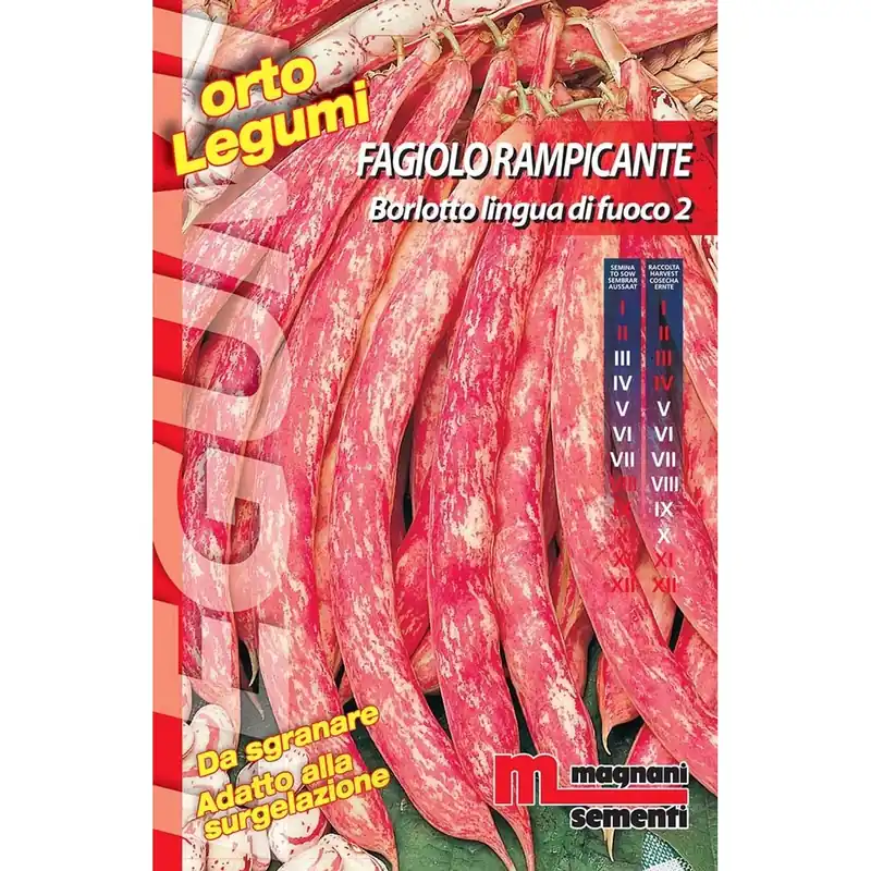 Semi Fagiolo rampicante borlotto Lingua di fuoco 2 100 g Korting