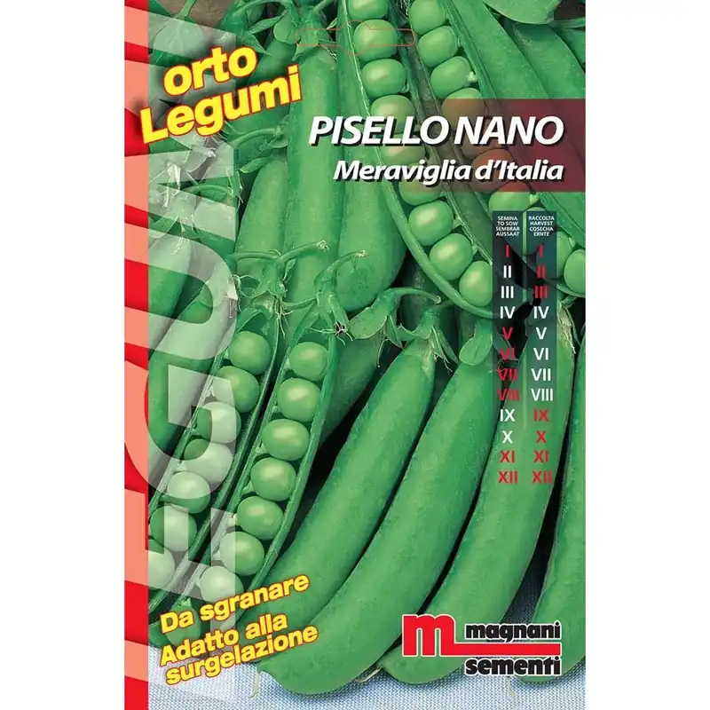 Beperkte Voorraad Semi Pisello nano Meraviglia d` Italia 100 g