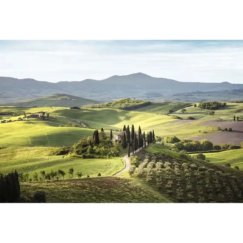 Canvas stampato Tuscany 85x113 cm Lage Kosten