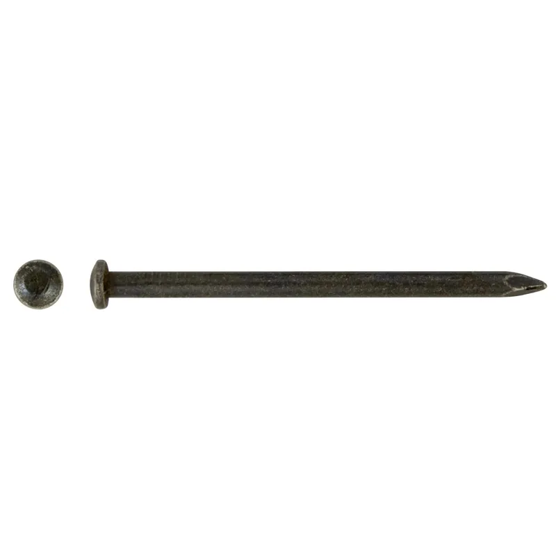 Chiodo acciaio testa fresata bombata blu temperato 2x30 mm 50 pz Betaalbaar