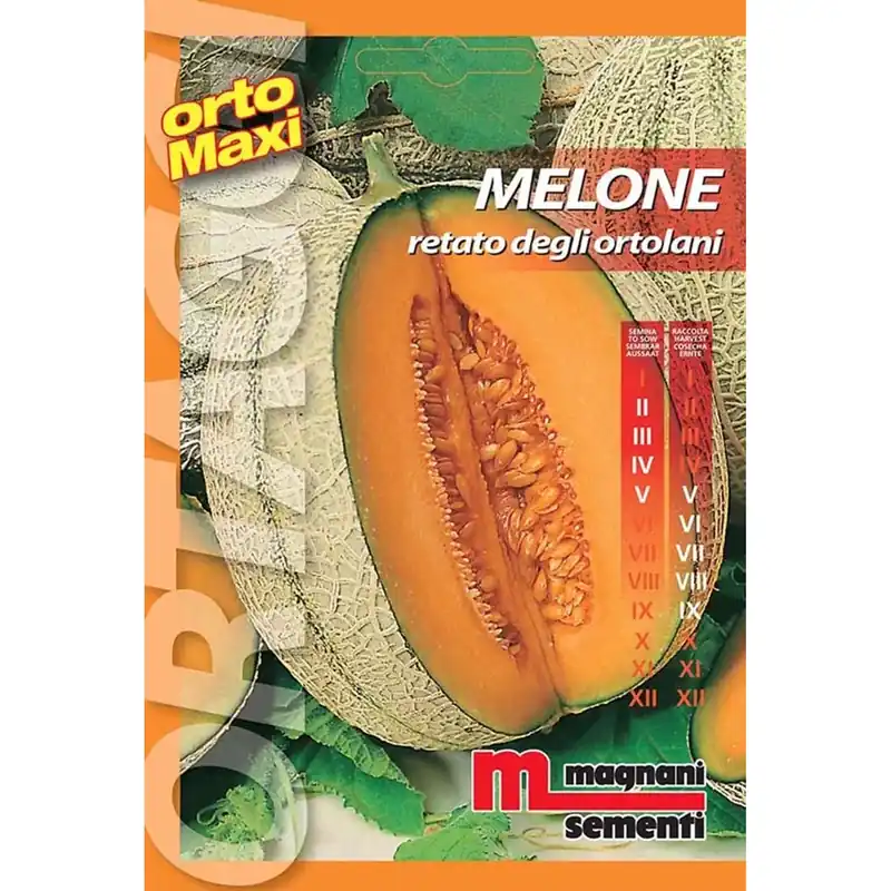 Aanbieding Semi orto maxi Melone retato