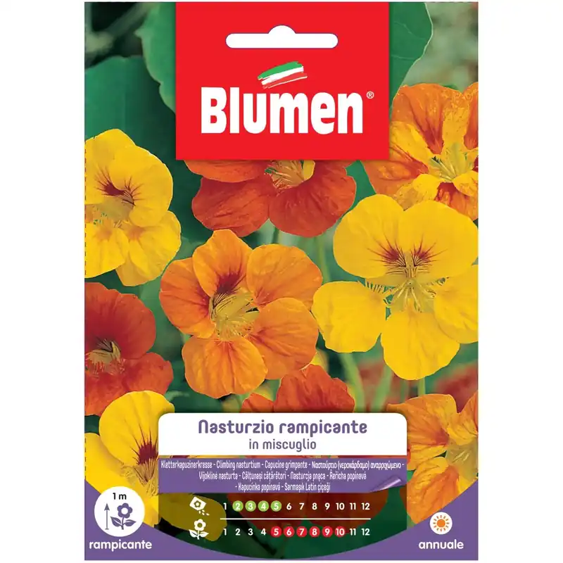 Seizoensaanbieding Semi Blumen Nasturzio rampicante in miscuglio
