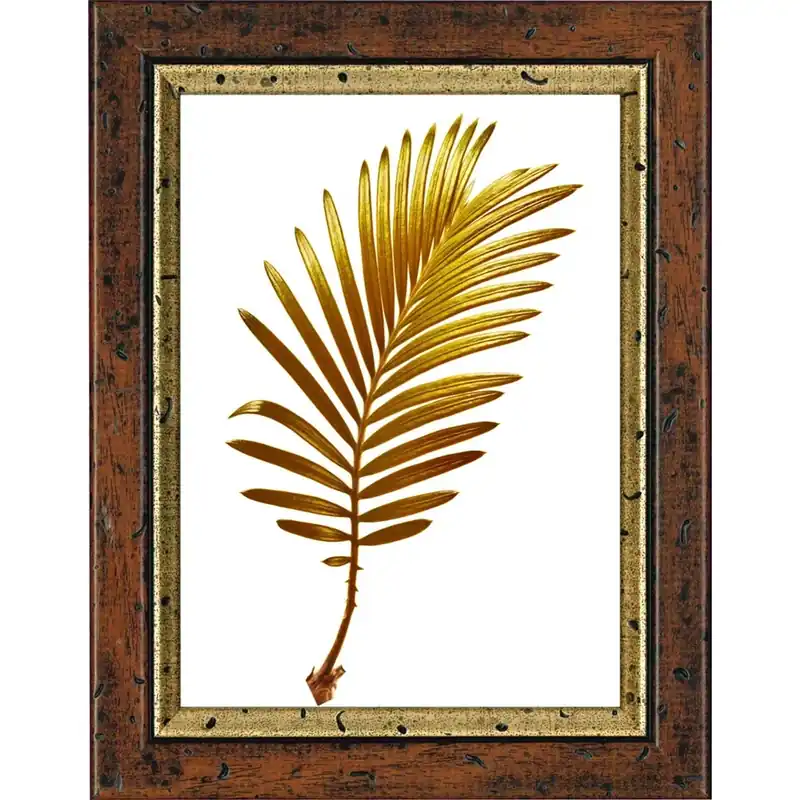 Cornice per foto Colbert noce filo oro crilex 50x70 cm Merkproduct