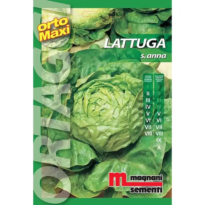Goedkoop Semi orto maxi Lattuga S. Anna