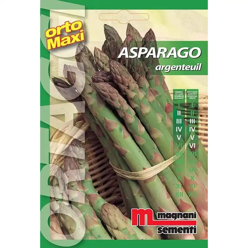 Gratis Retour Semi orto maxi Asparago Argenteuil