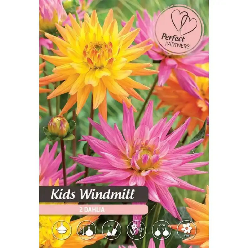 Favoriet Dalia multi-color Kids Windmill 20x13,5x6 cm