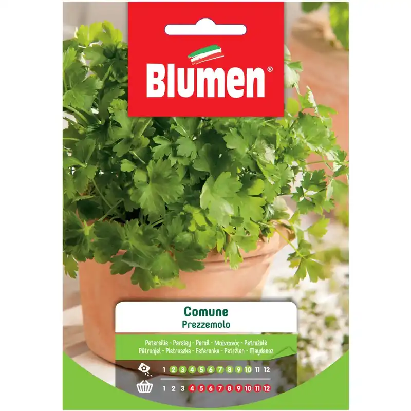 Express Levering Semi Blumen Prezzemolo comune 20 g