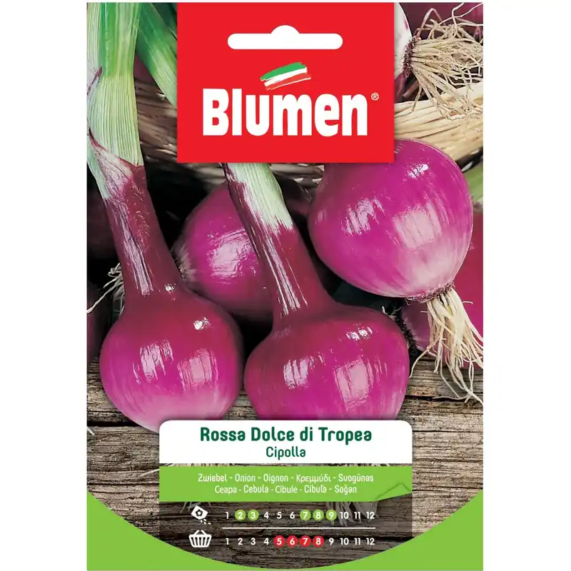 Semi Blumen Cipolla rossa dolce di Tropea 20 g Superprijs