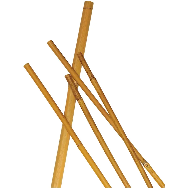 Direct Beschikbaar Cannetta bamboo Ø 16 mm-18 mm, altezza 210 cm