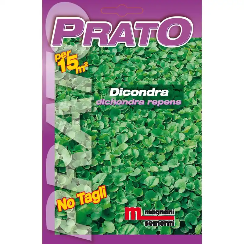 Semi prato Dicondra 100 g Gratis Retour