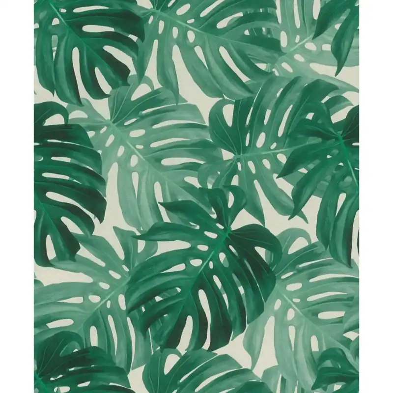 Carta da parati decorativa foglie monstera Direct Verzonden