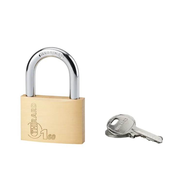 Lucchetto a cilindro ottone arco acciaio 60 mm 2 chiavi Alleen Vandaag