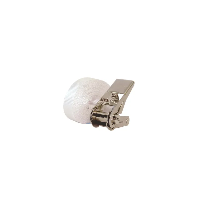 Shop Nu Cinghia a cricchetto inox ad anello 5 m x 25 mm P 800 kg