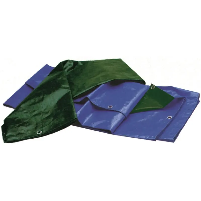 Express Levering Telo di copertura occhiellato blu e verde 2x3 m