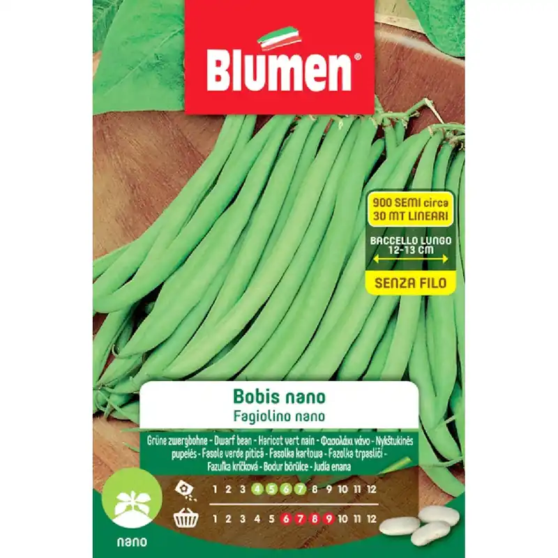 Rechtstreeks Van De Fabrikant Semi Blumen Fagiolini nani Bobis nano 250 g